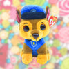 Plush Toys