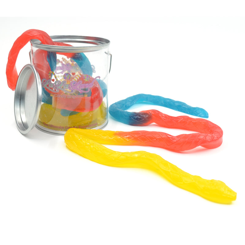 Paint bucket large snake